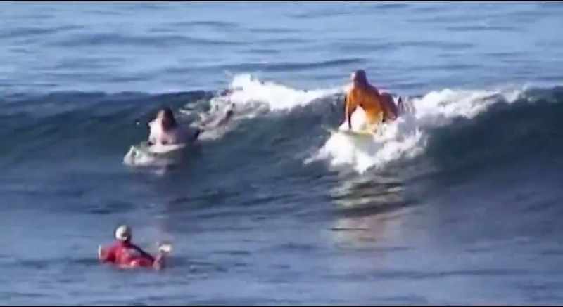 How fast she paddled and how aggressive she was