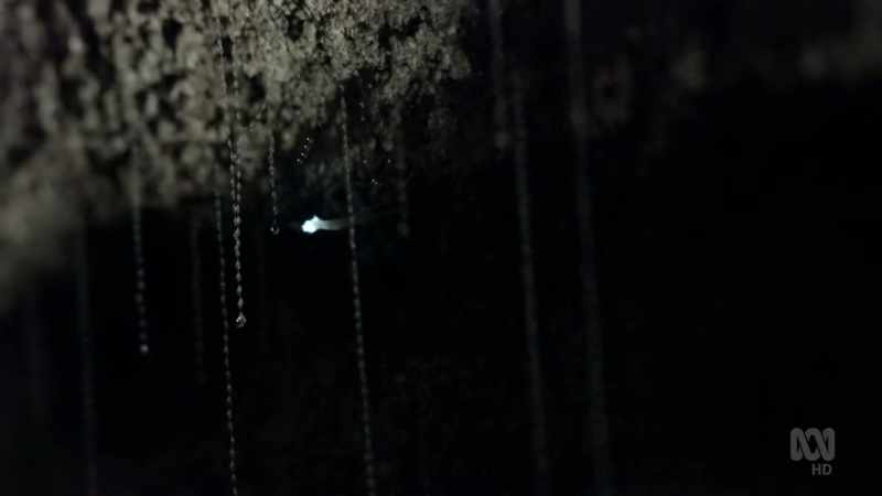 How they got stuck only becomes apparent as night falls