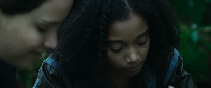 KATNISS: How long was I asleep?