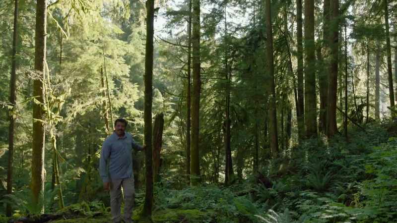 How many forests have I been in without any awareness