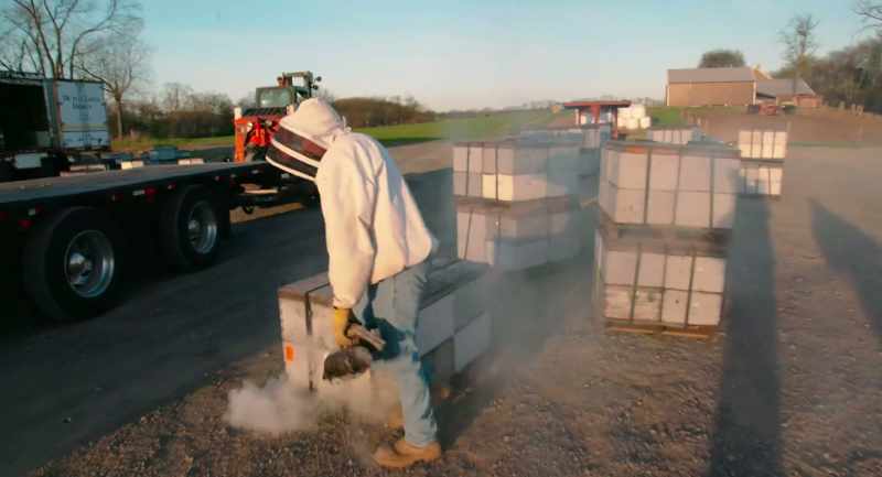 How many you putting on? -46 pallets