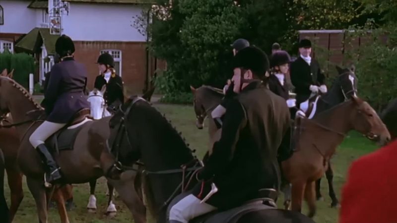 How often do that lot go hunting?