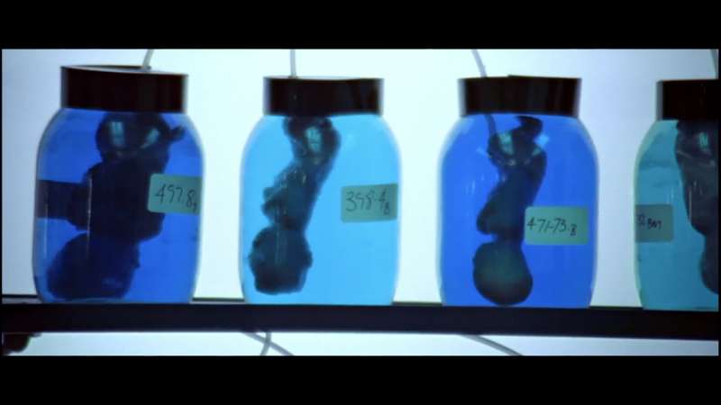 How shall the new environment be programmed