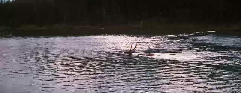 How was the water