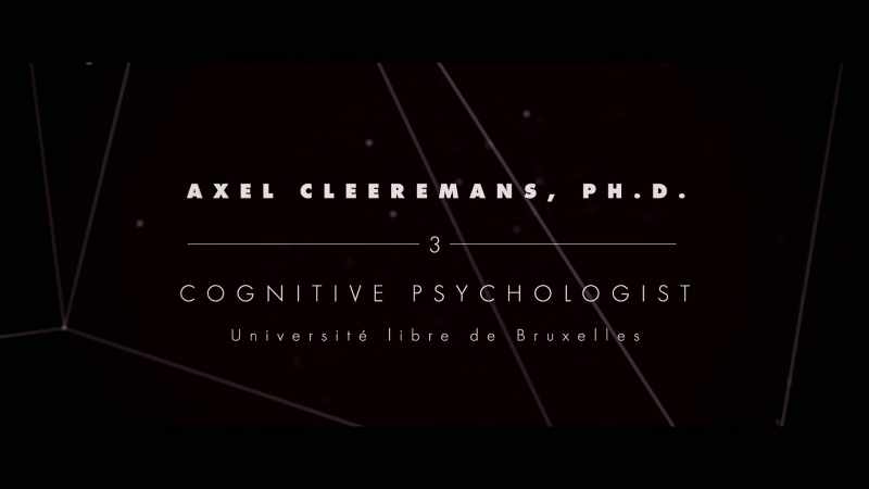 How and why the biological activity of the brain