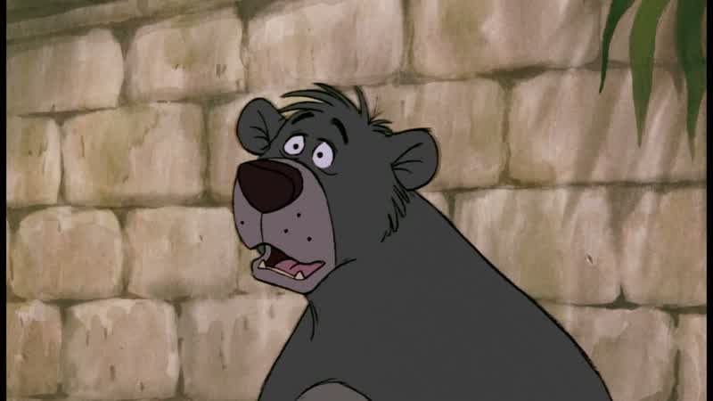 It's Baloo the bear Yeah that's himHow'd that square get in there