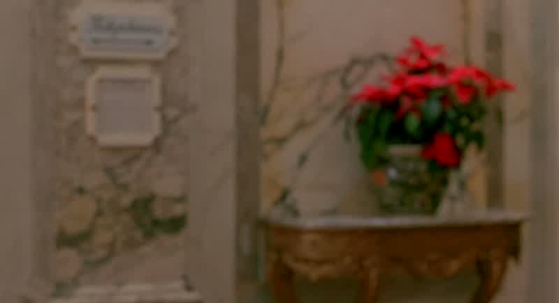 Howdy do This is Peter McCallister the fatherI'd like a hotel room please with an extra large bed a TVand one of those little refrigerators you have to open with a keyCredit card You got it