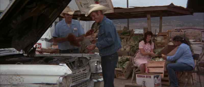 Howdy, mister. - Hi
