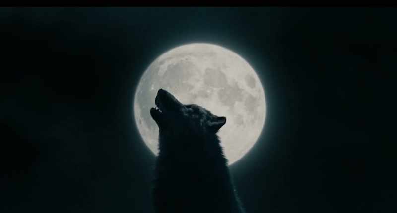 (howling)