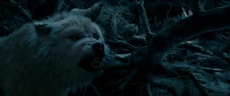 (HOWLING)
