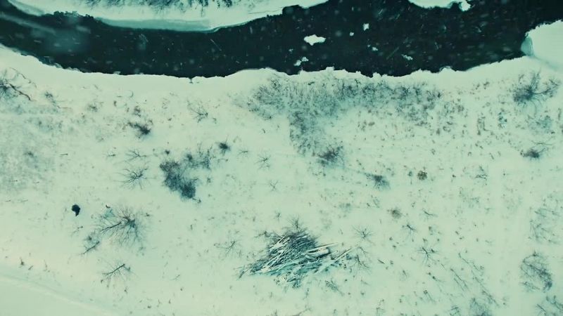 (HOWLING WIND)