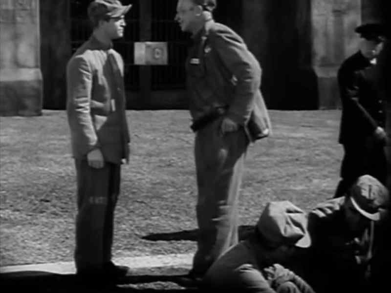 How's all the dames outside