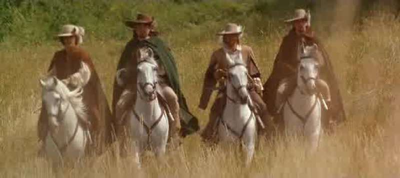 How's your head D'Artagnan