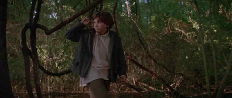 Huck ?