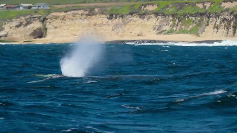 Hugging the shallow coast
