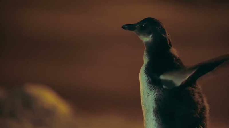 Huh!
