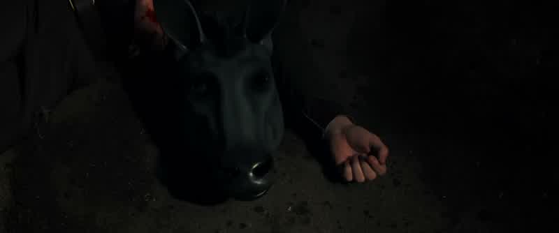 Huh, that is a donkey