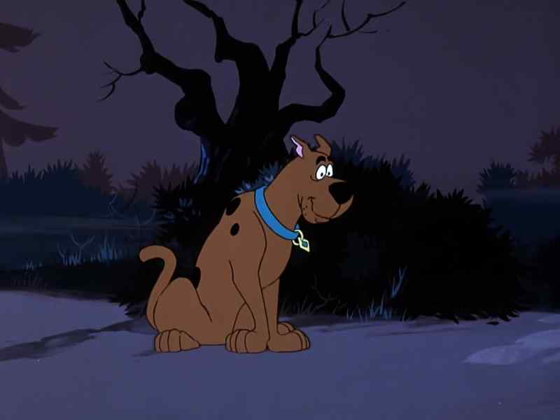 Huh? Where he go? Where he go?