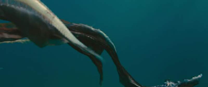Human indifference is surely the ocean's greatest threat