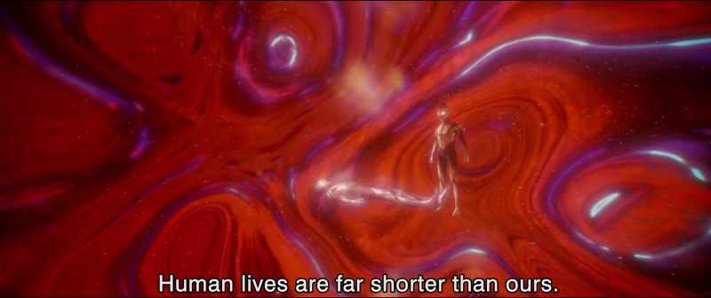 Human lives are far shorter than ours