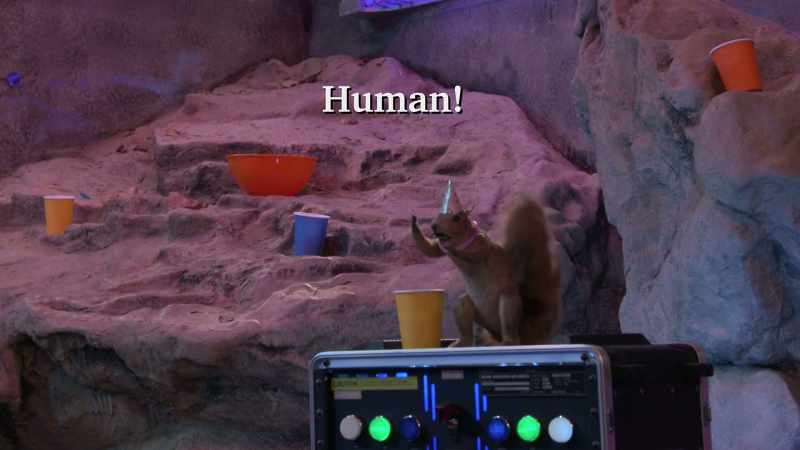 Human! Run for it!