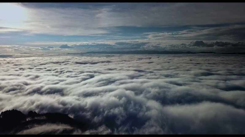 Humankind sees the world through suffering