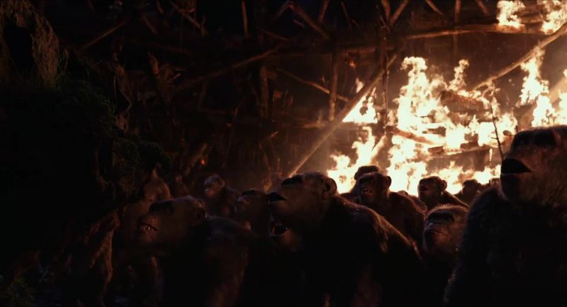 Humans kill Caesar!