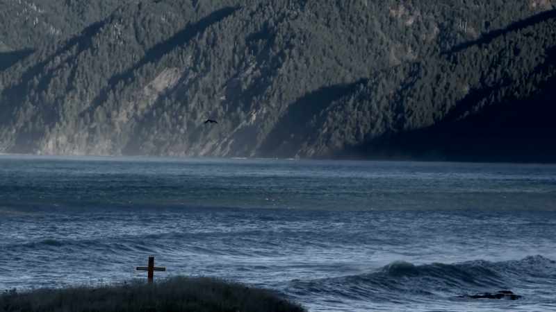 Humboldt County is a great destination to find yourself