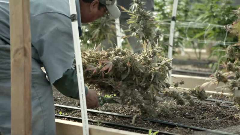 Humboldt County supplies
