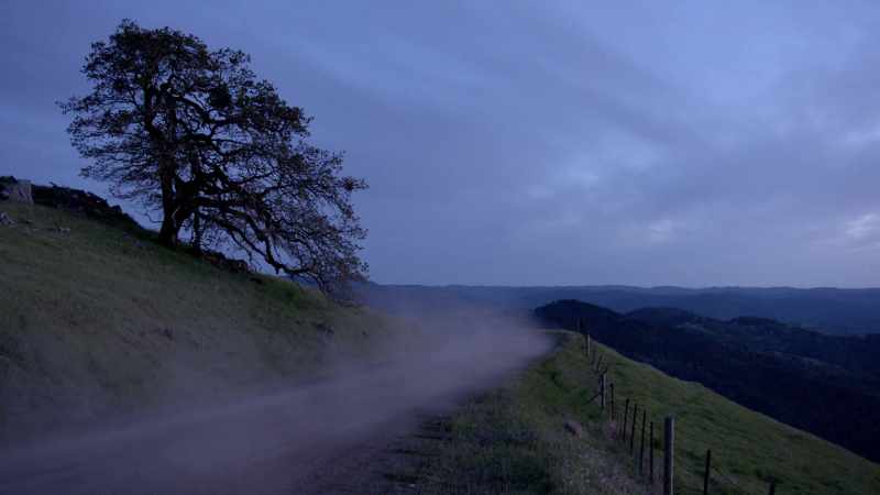 Humboldt County has the highest number of people reported missing