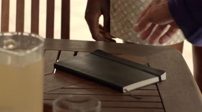 HUMPHREY: Ah, the journal at last