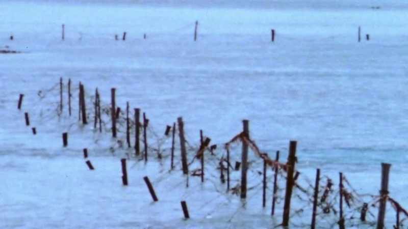Hundreds of pillboxes, gun nests, minefields, and bunkers