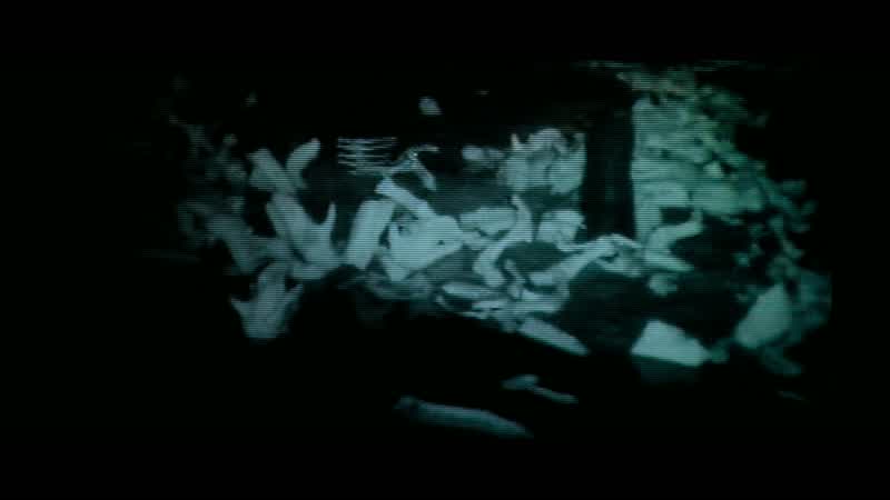 Dead animals