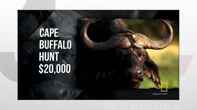 >> HUNTERS AROUND THE WORLD