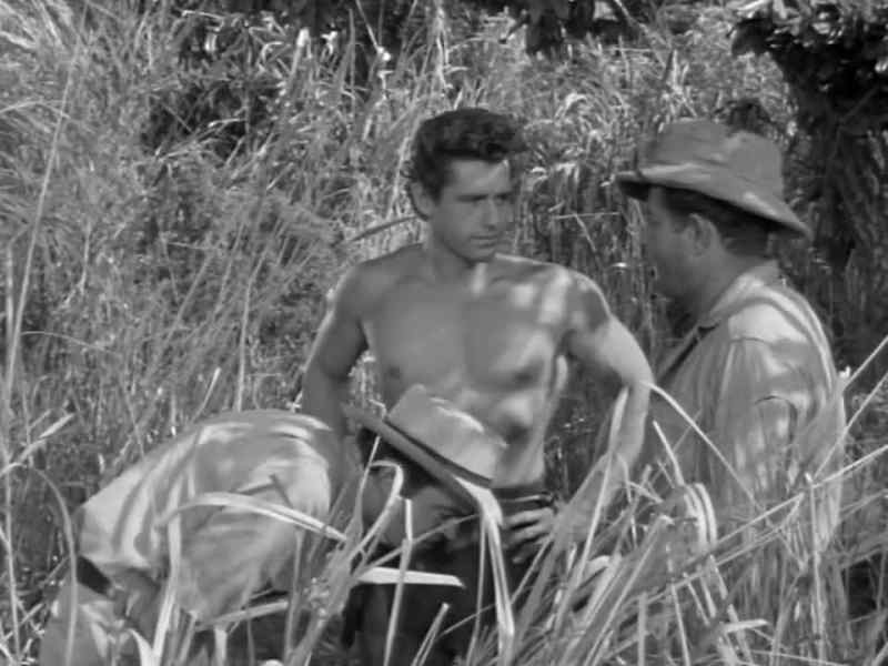 Hunters looking for Tarzan