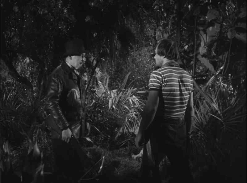 Hurry back to the Tree of Death