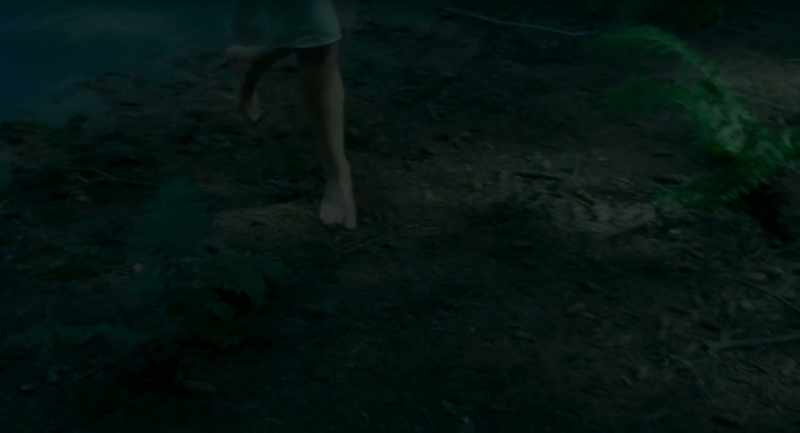 Hurry, dawn