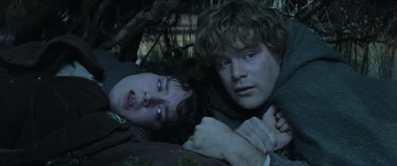 Hurry, Hobbits