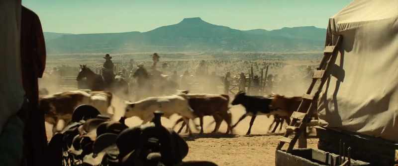 Hyah! - (CATTLE BELLOWING)