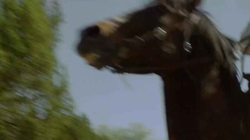 Hyah! - Hyah!