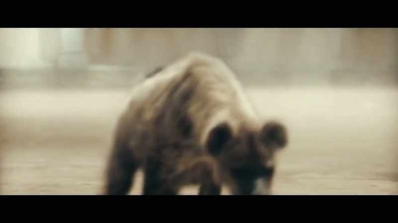[hyena snarling]