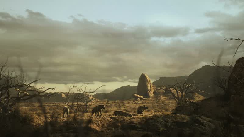 Hyenas everywhere
