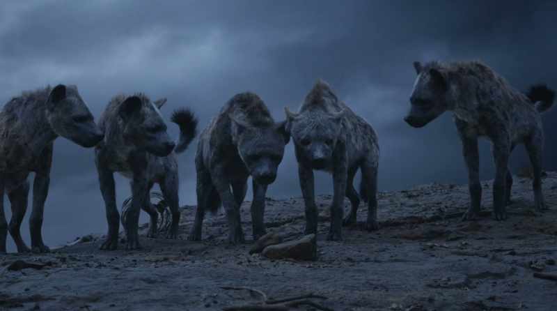 (HYENAS WHIMPER)