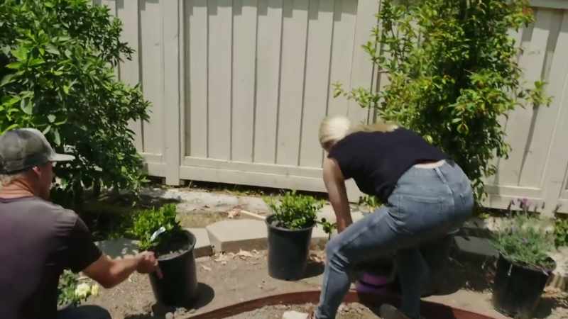I had $15,000 to spend on this yard