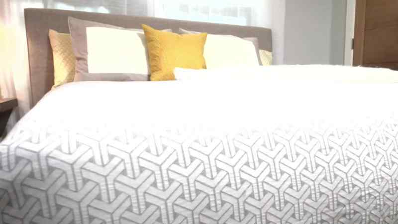 I had $20,000 to do my guest room
