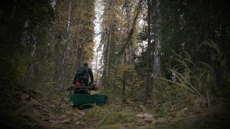 I was able to find an awesome woodyard with great potential