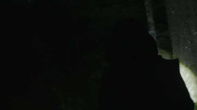 I also just did a quick audio scan, definitely hearing the river