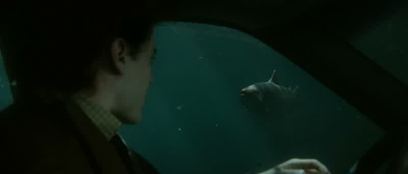 I always liked fish