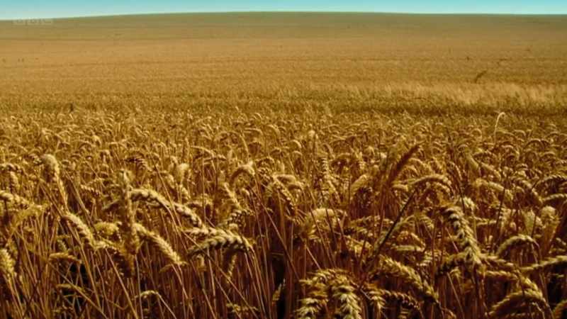 I am absorbed in this immense plain