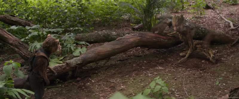 I am Groot